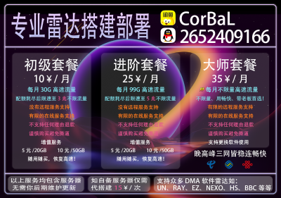 网页雷达代搭建部署 最低9.9起！